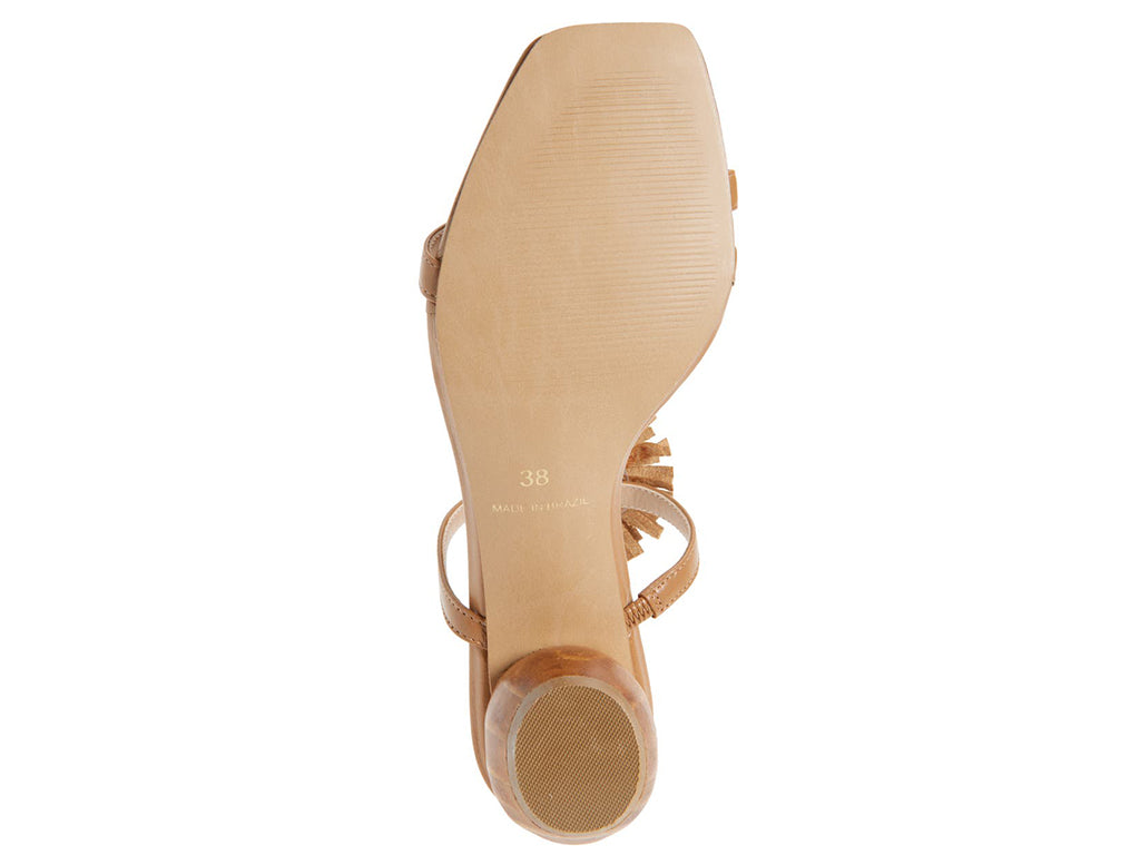view of the sole