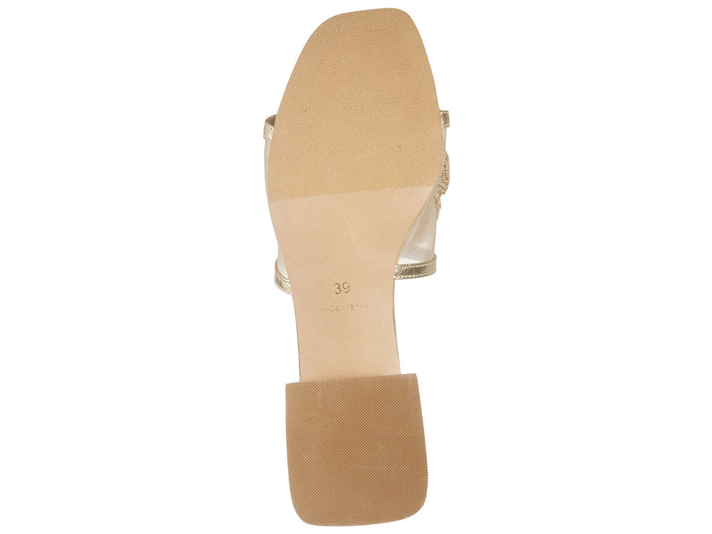 view of the sole