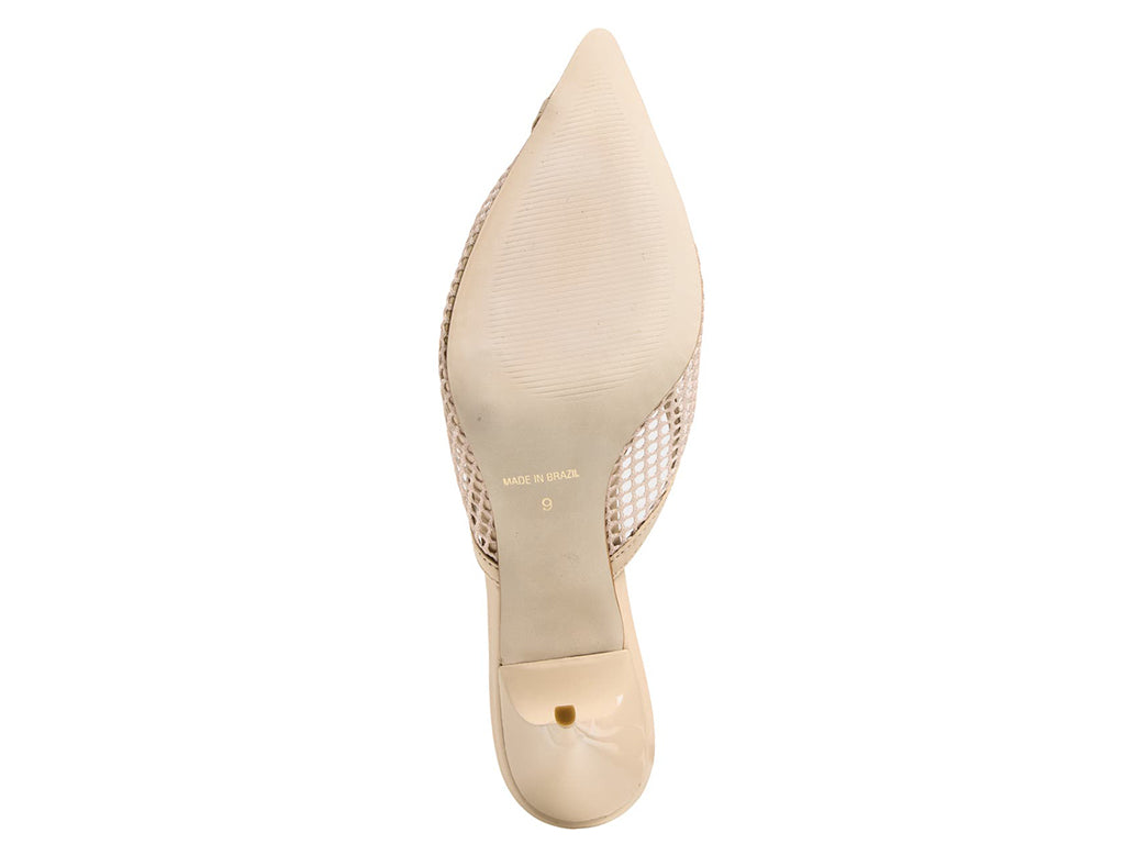 view of the sole